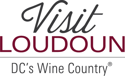 VLC_logo_UPDATE_2020_graymaroon