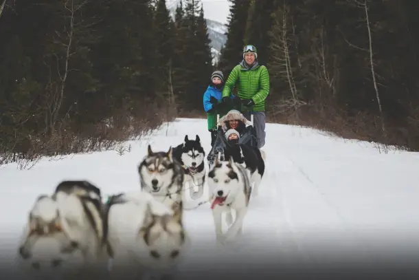 2025_snowy-owl-sled-dog-tours-inc